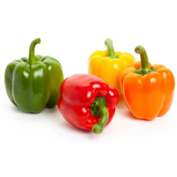 Bell Pepper - 100g