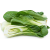 Bok Choy 500g +MVR 65.00