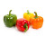 Capsicum 200g +MVR 10.00