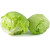 Lettuce Iceberg 500g +MVR 10.00
