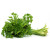 Parsley 100g +MVR 10.00