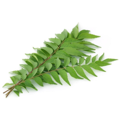 Curry Leaves - bunch..