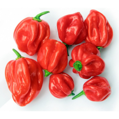 Hot Chilli - 100g..