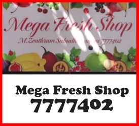 MegaFreshShop